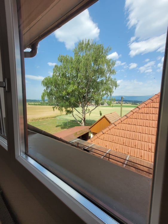 Grosse und helle 4.5-Zimmerwohnung mit Dachterrasse 6