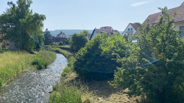 Charmante Dachwohnung mit Cheminée und Galerie – im Herzen von Dietikon 4