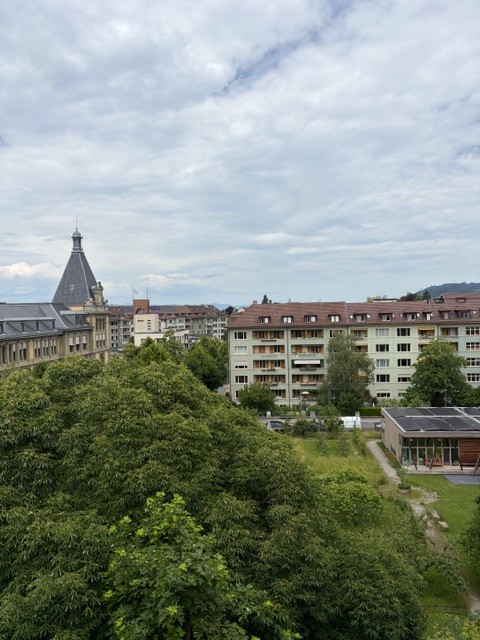 Luxuriöse 5-Zimmer-Wohnung in grüner Umgebung in Bern 9