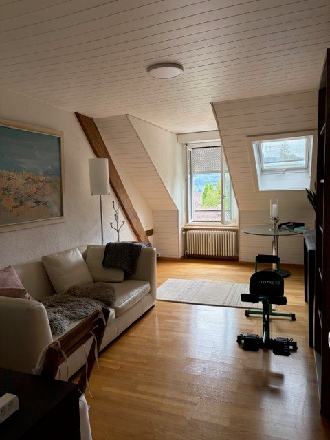 Luxuriöse 5-Zimmer-Wohnung in grüner Umgebung in Bern 12