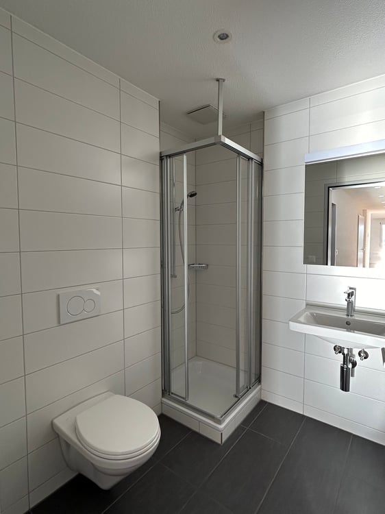 Bel appartement de 4.5 pièces en attique 9