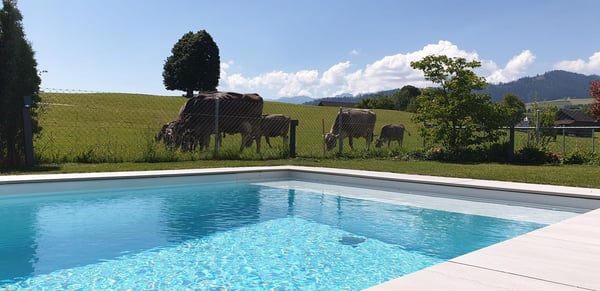 Natur und Lifestyle: 1.5-Zimmer-Luxury-Apartment mit Aussen-Pool und Bergsicht 16