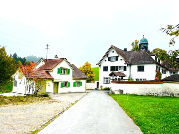 Aktuell! Kunstvoll renoviertes 