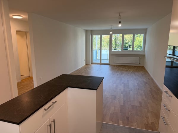 komplett sanierte 3 1/2 Zi. Wohnung im Grünen am Dorfbach 6