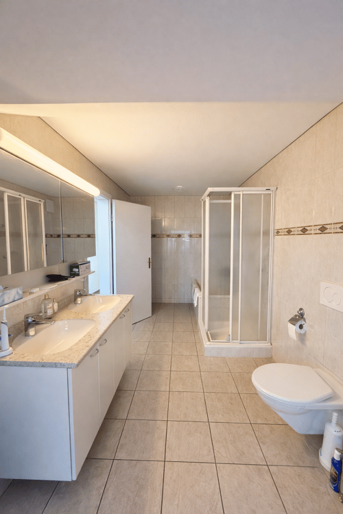 Villa de 165 m2 avec atelier indépendant 154 m² - Torny (FR) 4