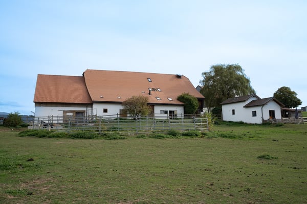 DOMAINE ÉQUESTRE AVEC 6 LOGEMENTS ET UN TERRAIN DE 10'474 M² 4