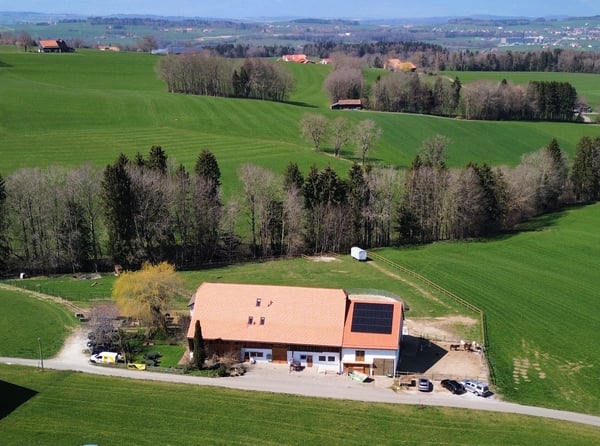 DOMAINE ÉQUESTRE AVEC 6 LOGEMENTS ET UN TERRAIN DE 10'474 M²