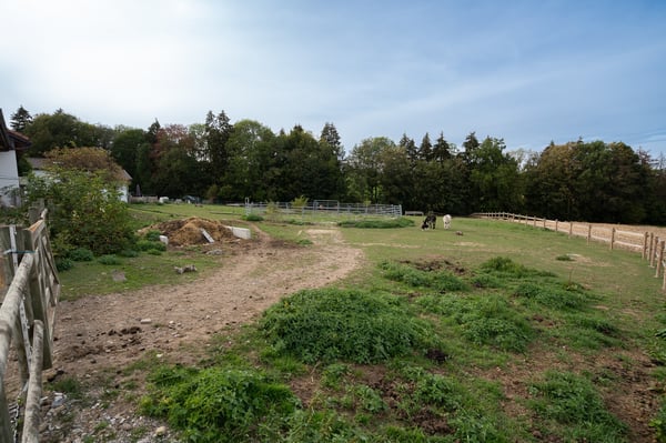 DOMAINE ÉQUESTRE AVEC 6 LOGEMENTS ET UN TERRAIN DE 10'474 M² 6