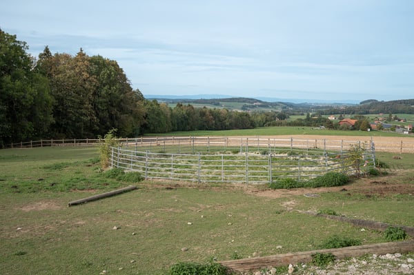 DOMAINE ÉQUESTRE AVEC 6 LOGEMENTS ET UN TERRAIN DE 10'474 M² 9