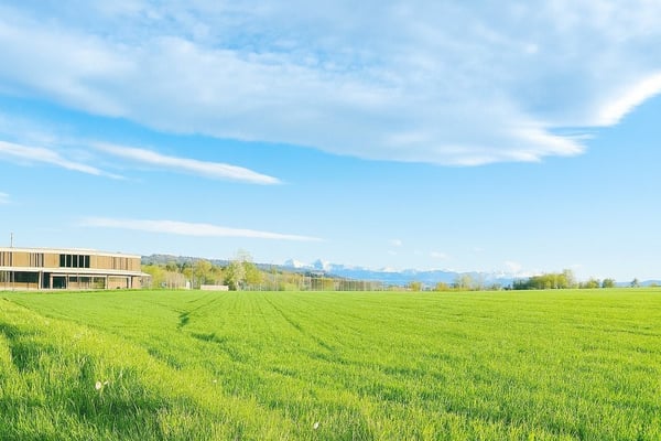 3-stöckiges 1.5-Zimmer-Reiheneinfamilienhaus in Herrenschwanden 11