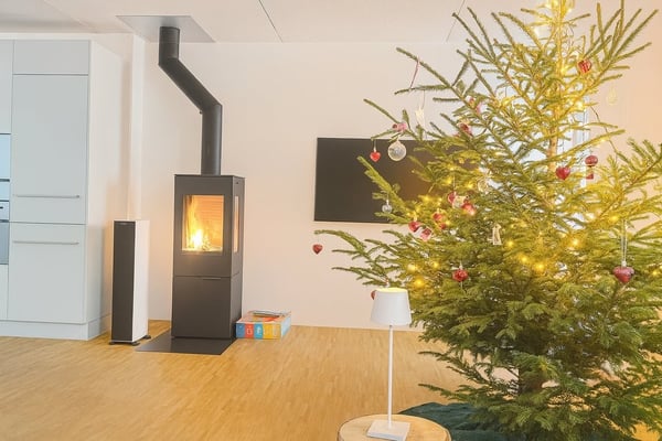 3-stöckiges 1.5-Zimmer-Reiheneinfamilienhaus in Herrenschwanden 4