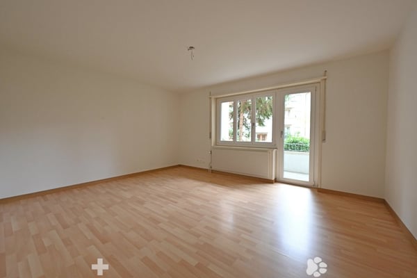 helle 3-Zimmer-Wohnung im Herzen von Biel 5