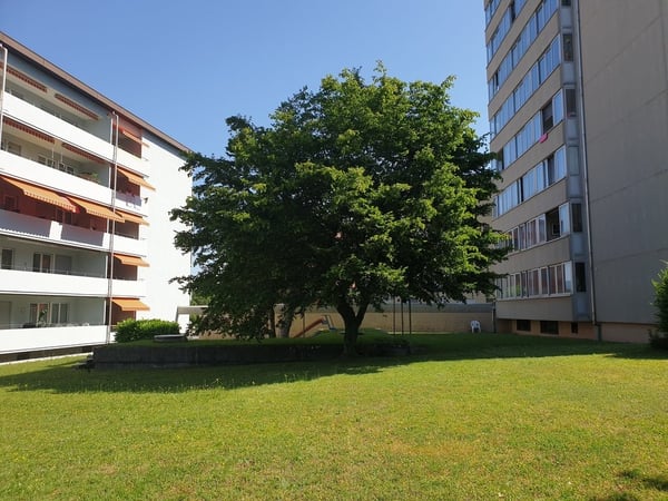 Aperçu de l'image de l'immobilier