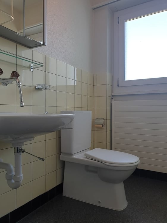 Ihr neues Zuhause in Lyss! 4