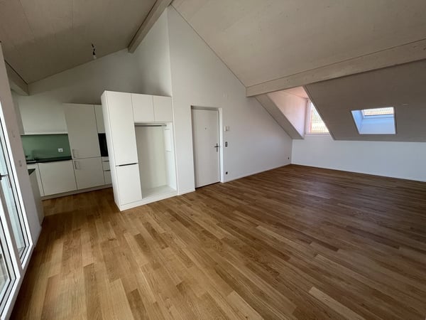 Neue, stylische Dachwohnung im Rossfeld 4