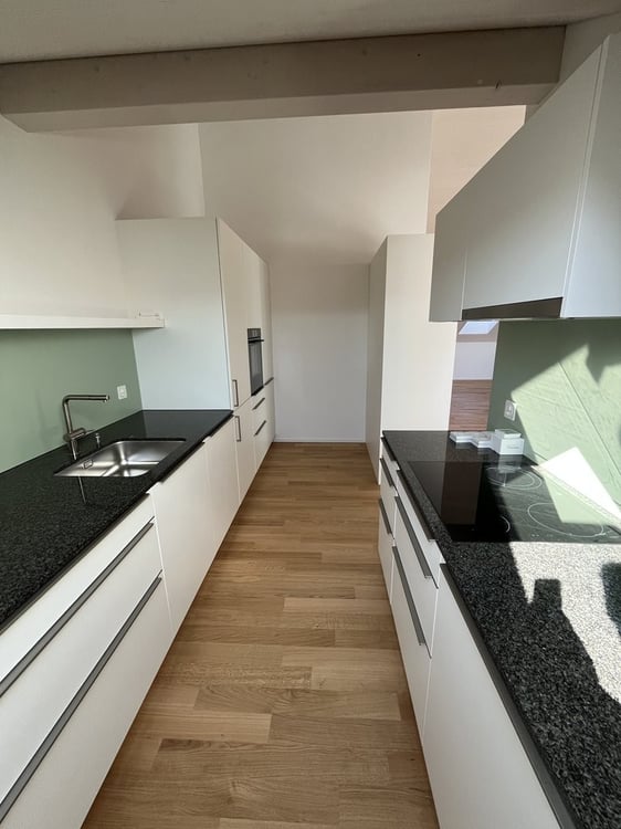 Neue, stylische Dachwohnung im Rossfeld 3
