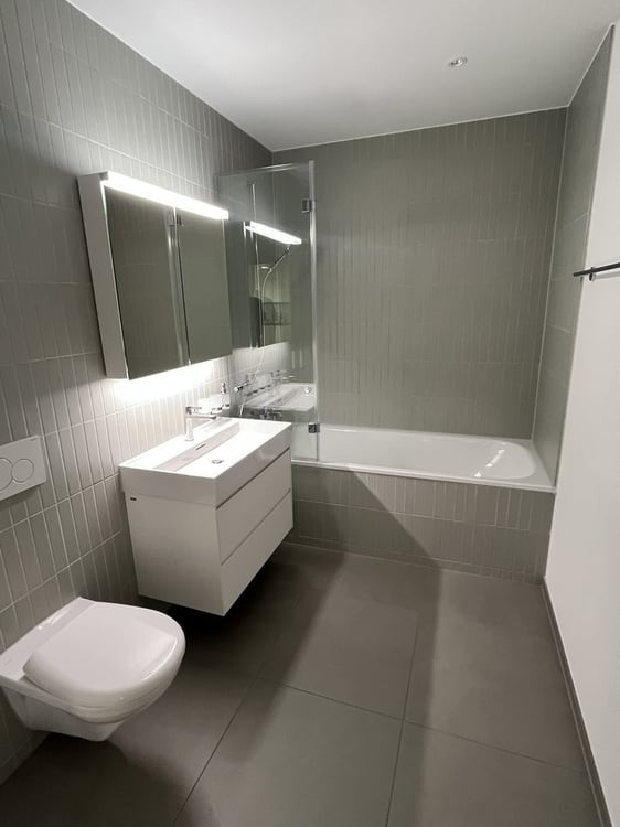 Neue, stylische Dachwohnung im Rossfeld 8