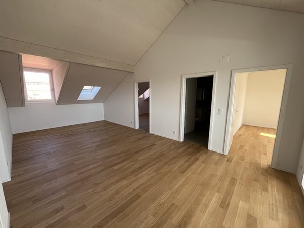 Neue, stylische Dachwohnung im Rossfeld 5