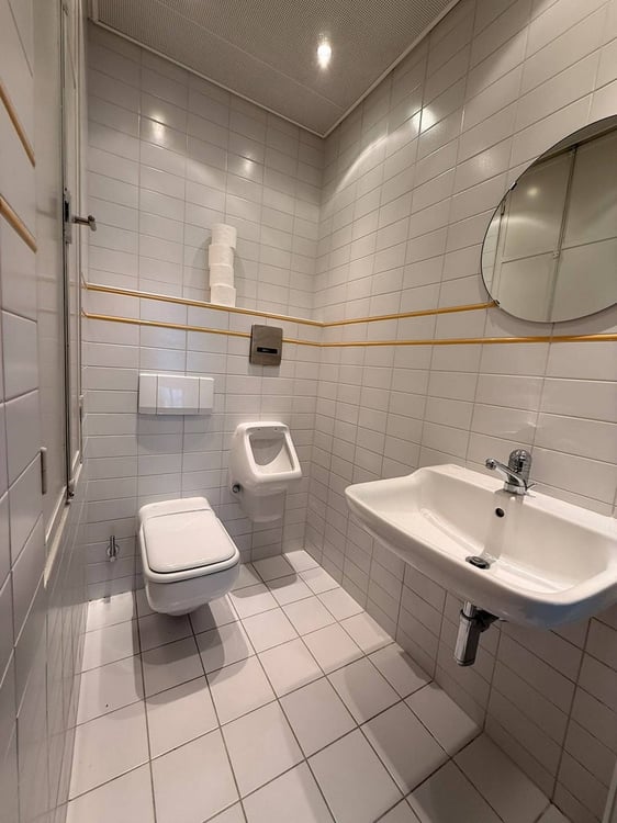 Gewerberaum inkl. Garage und eigenem Vorplatz zu vermieten 10