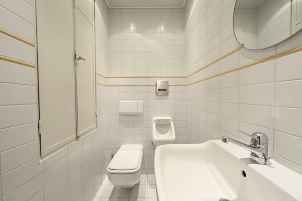 Gewerberaum inkl. Garage und eigenem Vorplatz zu vermieten 8