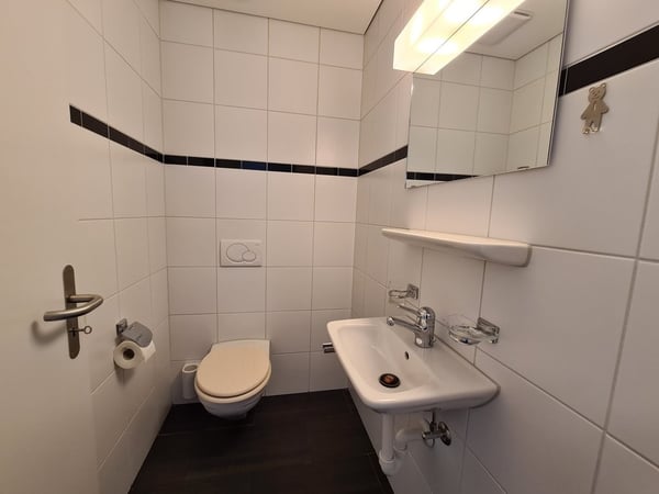 Grosszügige Wohnung mit Bergpanorama! 7