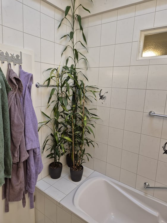 Familienfreundliche 4-Zimmer-Wohnung mit Balkon 8