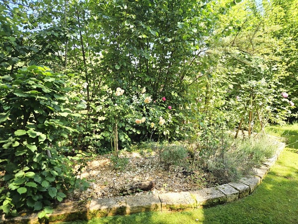 Charmantes 2.5-Zimmer-Bauernhaus mit grosszügigem Garten in Herznach-Ueken 41