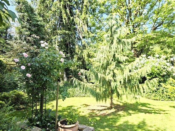 Charmantes 2.5-Zimmer-Bauernhaus mit grosszügigem Garten in Herznach-Ueken 47