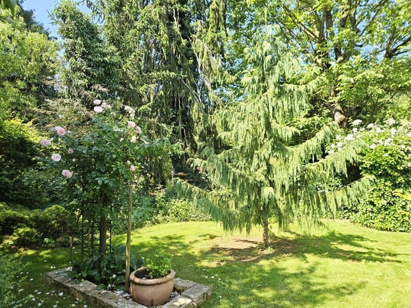 Charmantes 2.5-Zimmer-Bauernhaus mit grosszügigem Garten in Herznach-Ueken 43