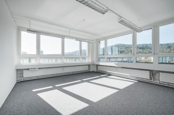 Arbeiten am See ! Gewerbeflächen 1-10 Zimmer ausbaubar 4