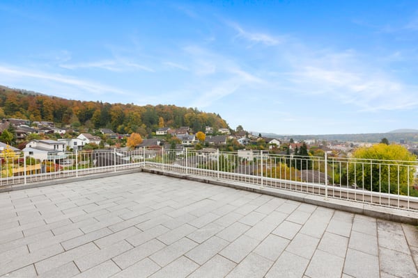 Luxuriöses 1.5-Zimmer Einfamilienhaus an bester Panorama-Lage 9