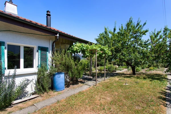 Charmantes 5.5-Zimmer-Einfamilienhaus mit traumhaftem Garten in ruhige 8