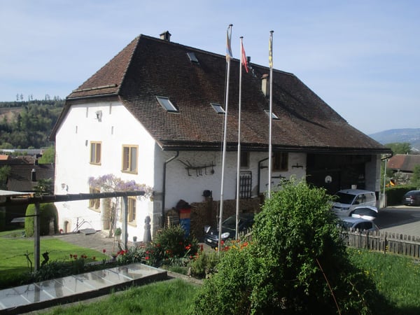Mehrfamilienhaus, Einfamilienhaus, Duplexwohnung 1