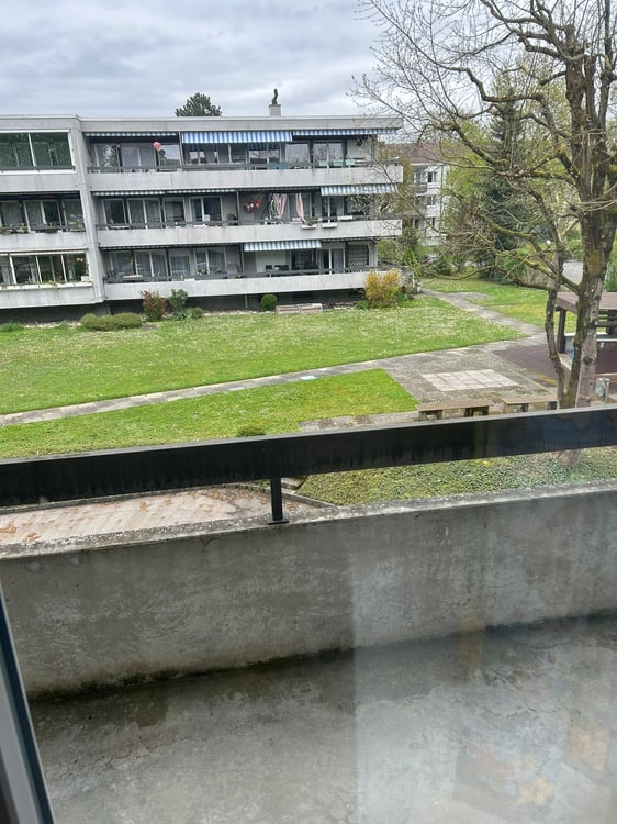 Sonnige 4.5-Zimmer-Wohnung in Studen BE 1