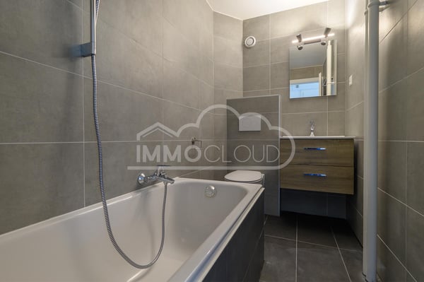 Appartement loué ! 4