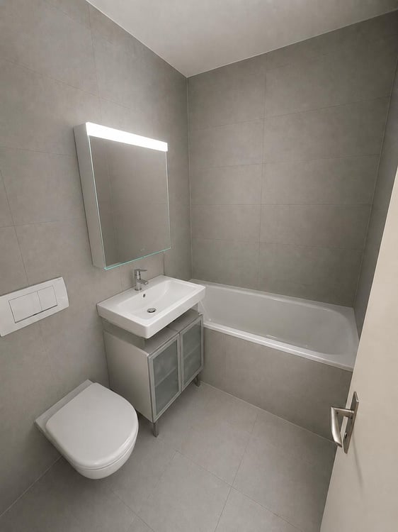 2.5 pièces rénové 3