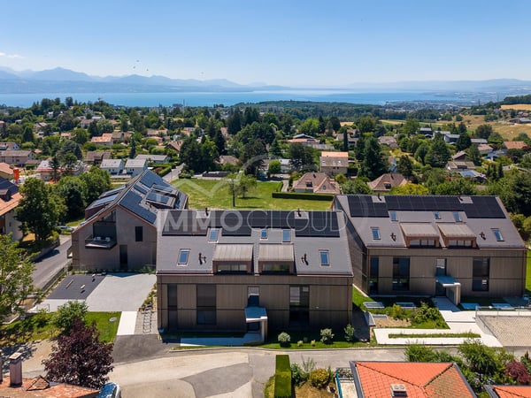 Lac Léman en toile de fond 12