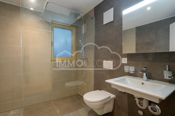 Duplex neuf avec terrasses 12