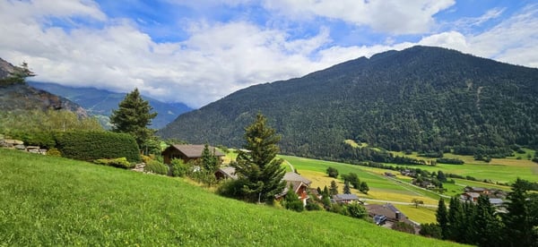 Terrain à vendre avec vue panoramique dans le charmant village de Vollèges 2