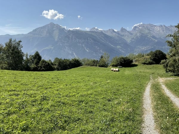 Chalet alpin avec vue panoramique au coeur des 4 Vallées copie 5