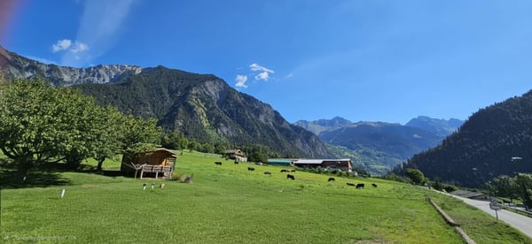 Villa mitoyenne de 5.5 pièces sur la Commune du Val de Bagnes 2