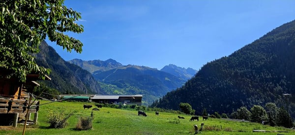 Villa mitoyenne de 4.5 pièces sur la Commune du Val de Bagnes 9