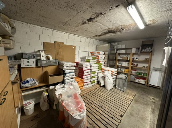 IMMEUBLE LOCATIF AVEC SURFACE COMMERCIALE - WOHN- & GESCHAEFTSLIEGENSCHAFT 27