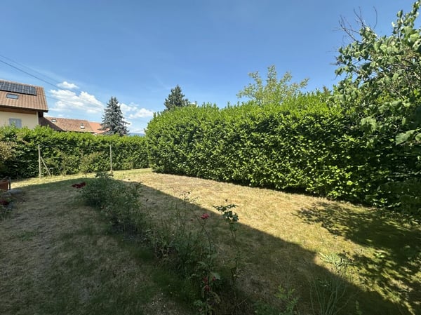 Maison à rénover/transformer - Renovationsbedürftiges Haus zu verkaufen 20