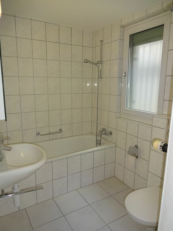 Zentrale Wohnung in Seenähe