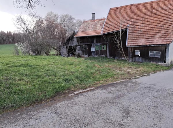 A VENDRE : Projet de vie au vert, maison 4.5 pièces + 2 boxes chevaux 9