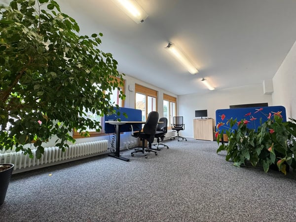 Bureaux meublés à louer 7