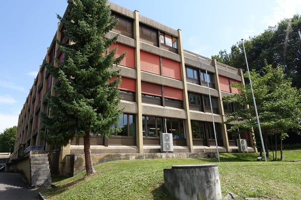 Gewerbefläche mit Rampe an idealer Lage in Bösingen zu vermieten 3