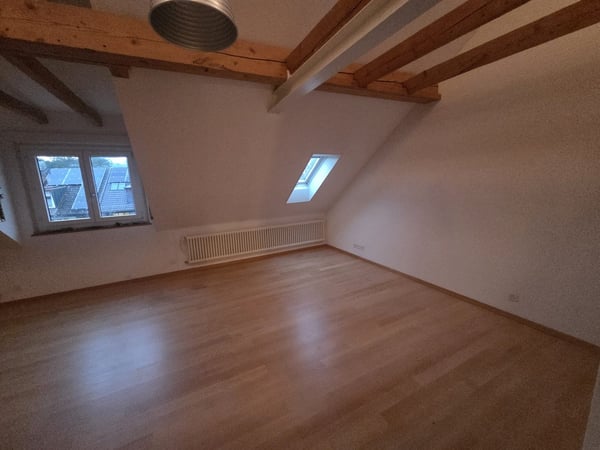 2½-Zimmer-Reihenfamilienhaus mit grosser Terrasse & Garten zu vermieten 8