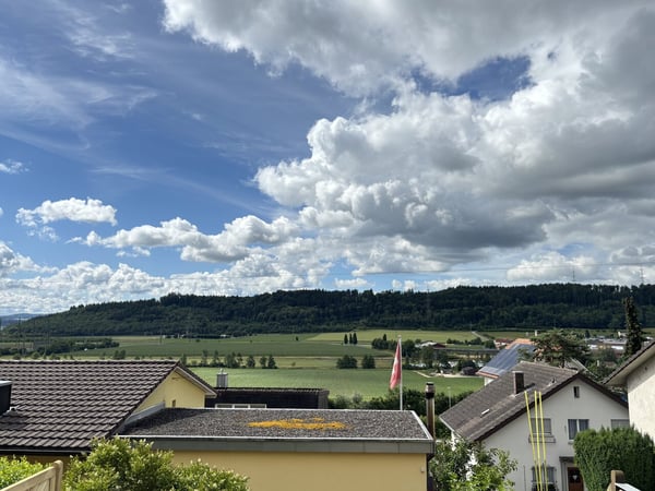 Modernes, frisch renoviertes 4½-Zimmer-Reihenfamilienhaus mit Garten in Pieterlen zu vermieten 31